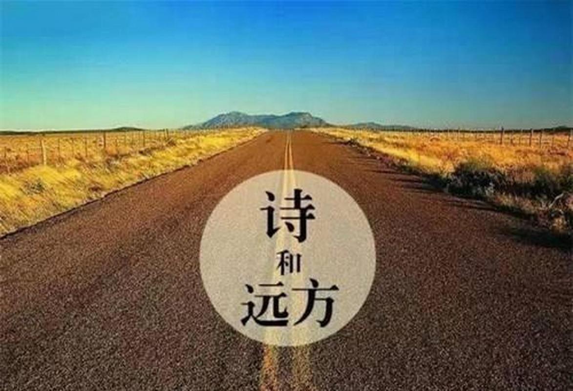 诗和远方  第1张