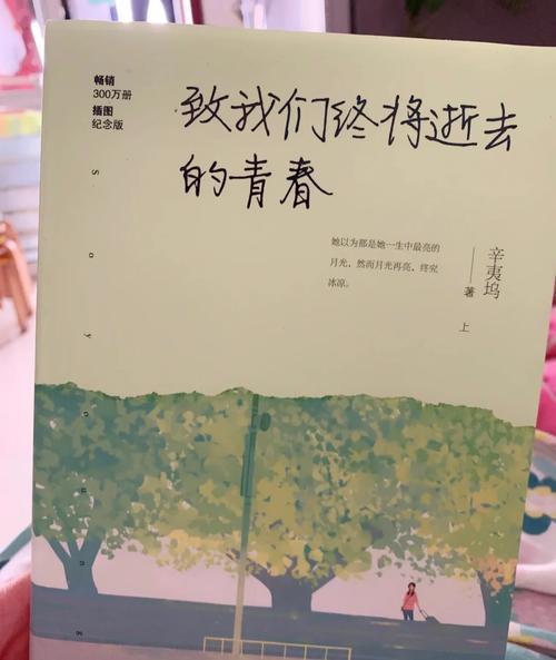 致我们逝去的青春  第1张