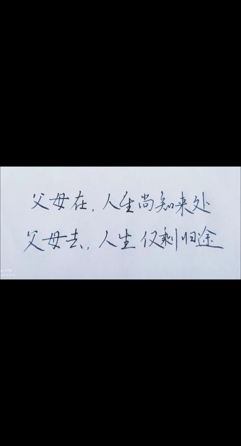 父母尚在苟且，你却在炫耀诗和远方  第1张