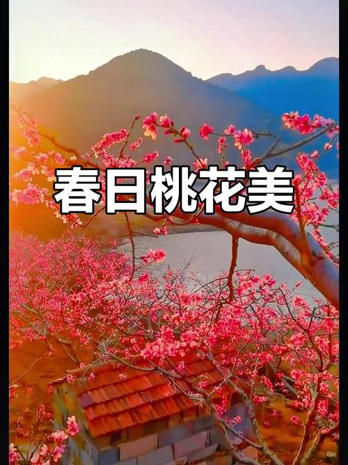 春还在，桃花依旧红  第1张