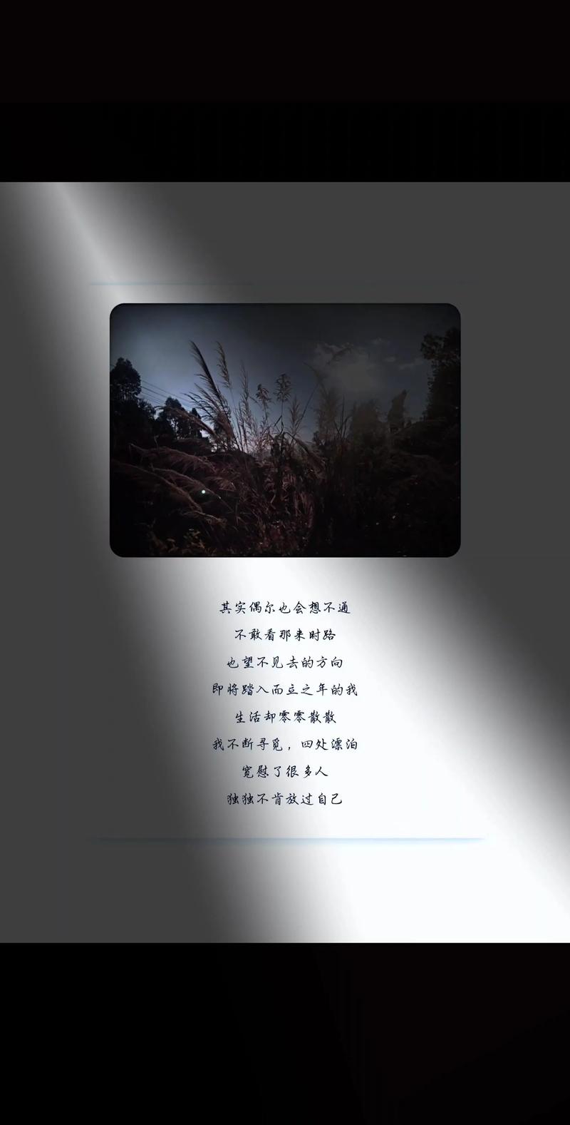 留不住、忘不掉，回眸还是涩  第1张