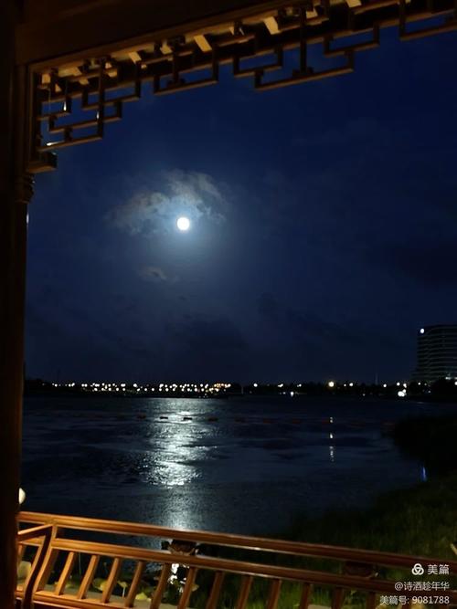 纵观月夜  第1张