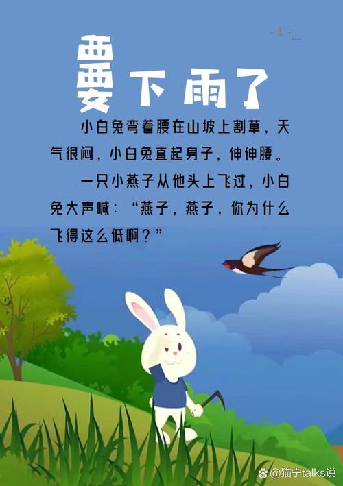 雨的故事  第1张