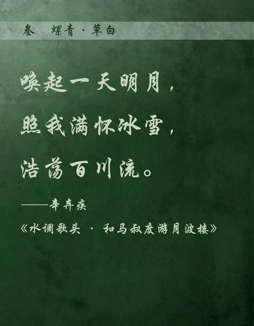 五月情。又是一年槐月飘香时  第1张