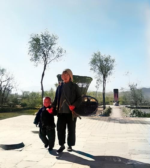 母亲和她的土地  第1张