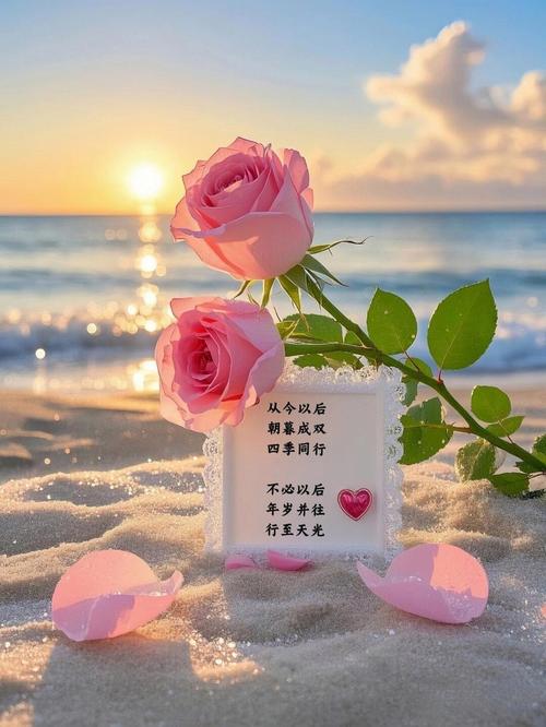 时光轻浅，捧一掬献给流年  第1张