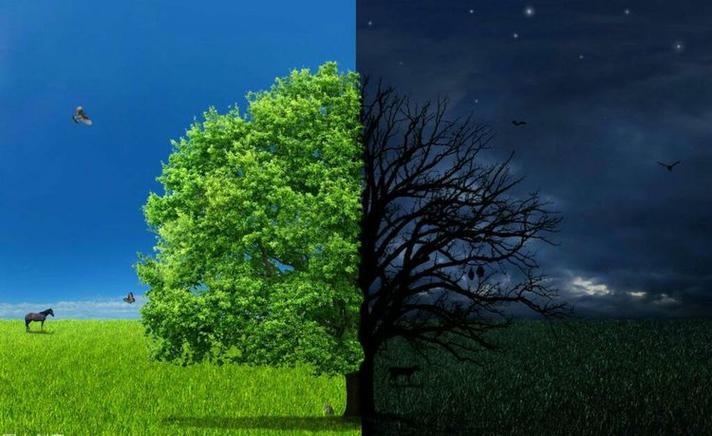 白天与黑夜  第1张