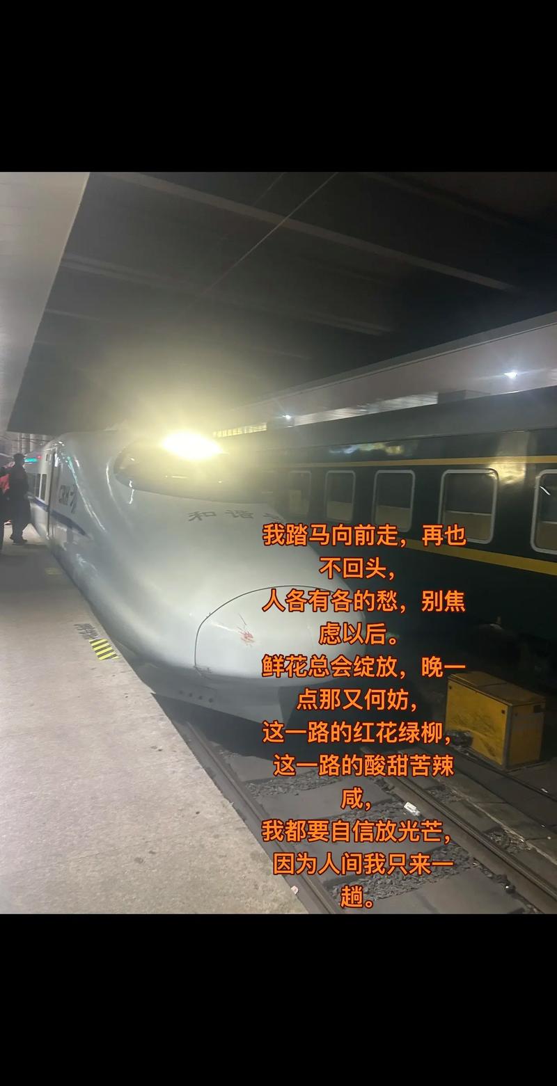 高铁旅行的心情短句 高铁旅游的感受  第1张