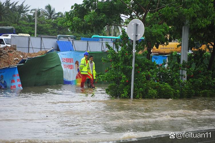 风带雨  第1张