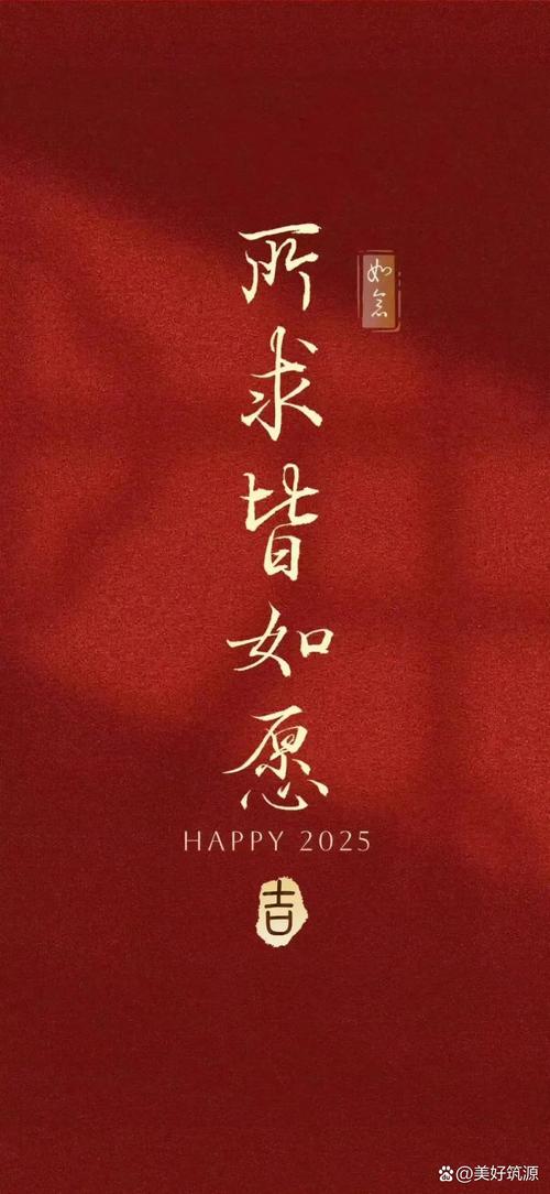 新年的愿望  第1张