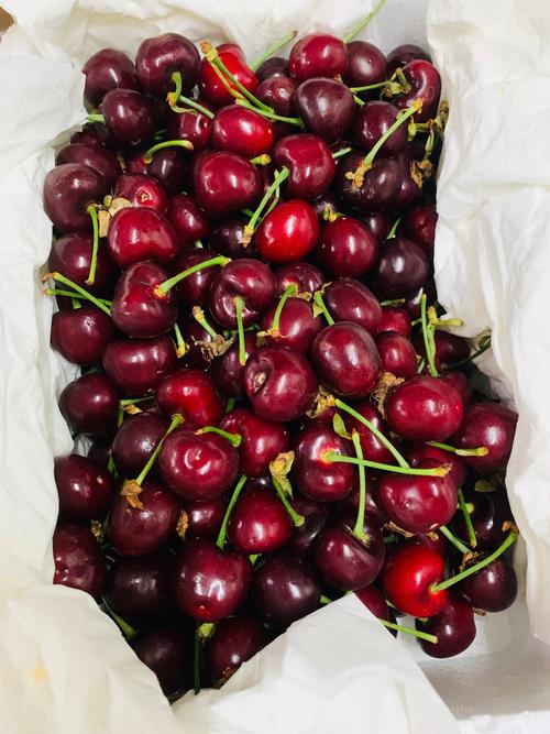 樱桃的味道  第1张