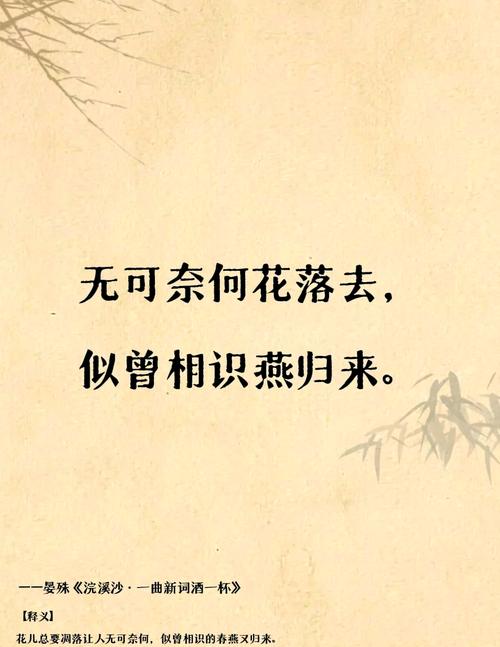 春深繁花尽  第1张