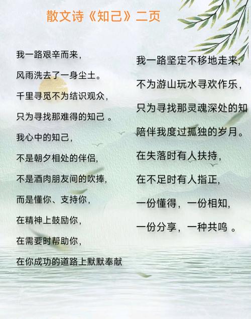 只为寻一个懂你的人  第1张