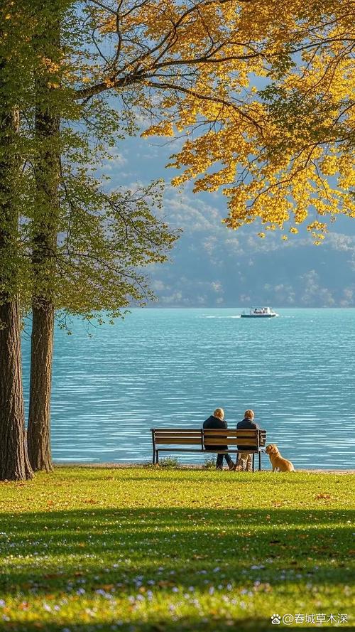爱是一道静谧的风景  第1张