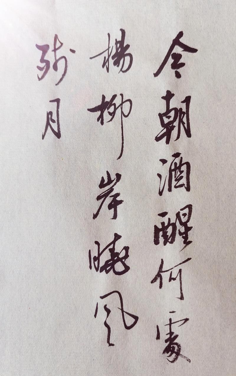 今夜是残月，杨柳还未绿成岸  第1张