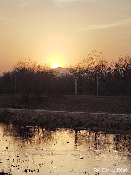 高高的月  第1张