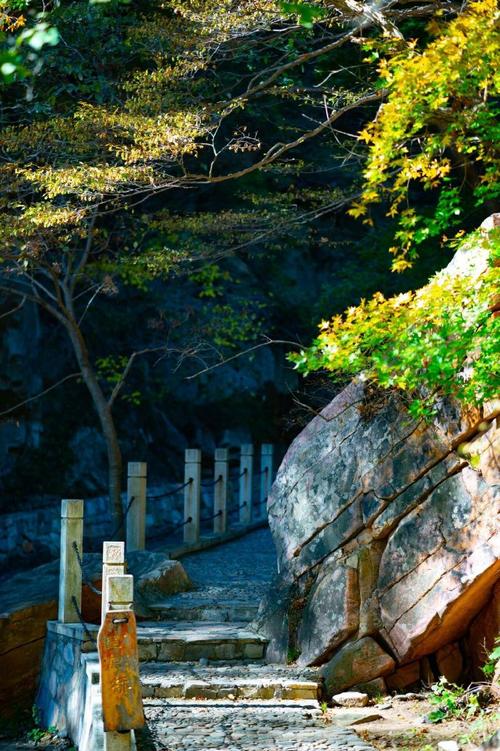 聆听初秋  第1张