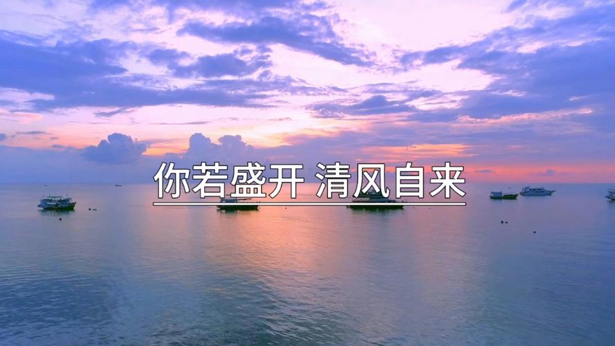 你若盛开，清风自来  第1张