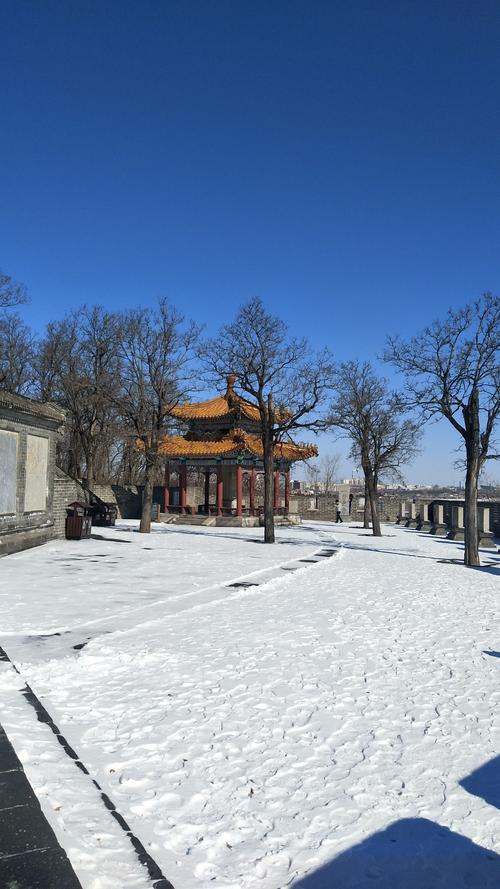 踏雪探春（2）  第1张