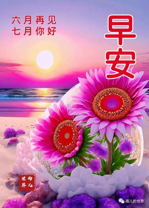 七月的祝福  第1张