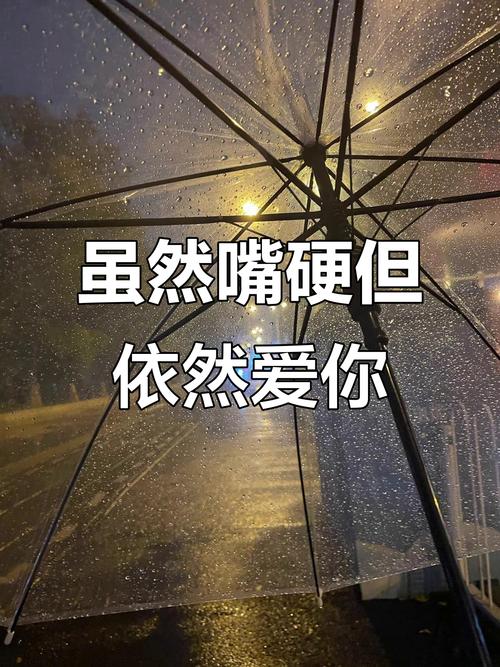 我们都爱嘴硬  第1张