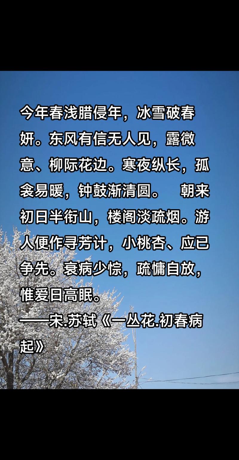 春花落尽，春意冷暧心自知  第1张