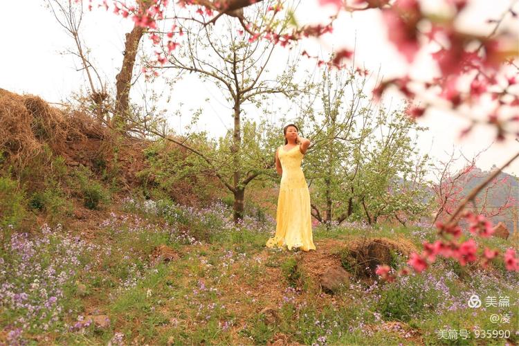 一个人的桃花源  第1张