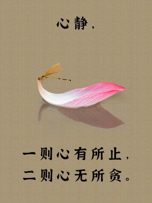 静守，回忆之斑斓  第1张