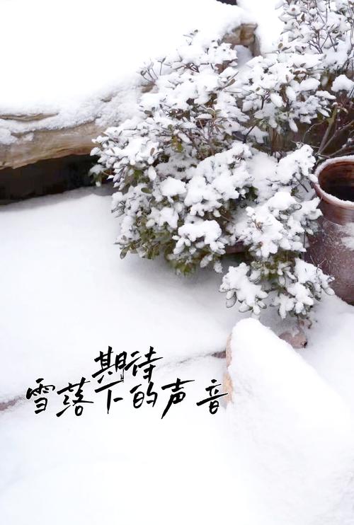 雪之浪漫与轻狂  第1张