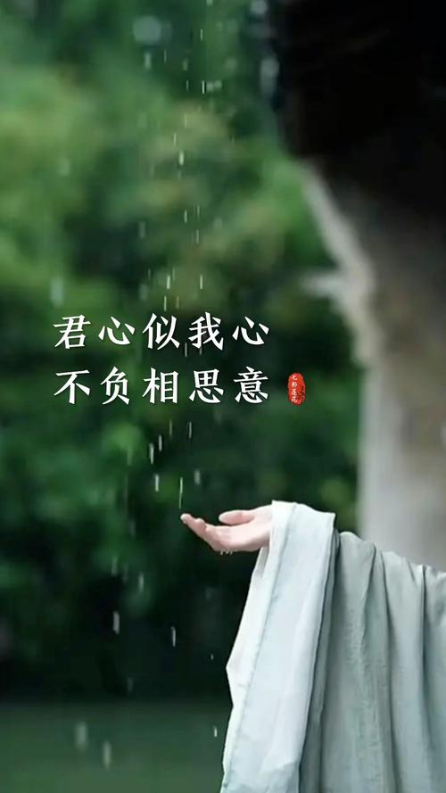 只愿君心似我心  第1张