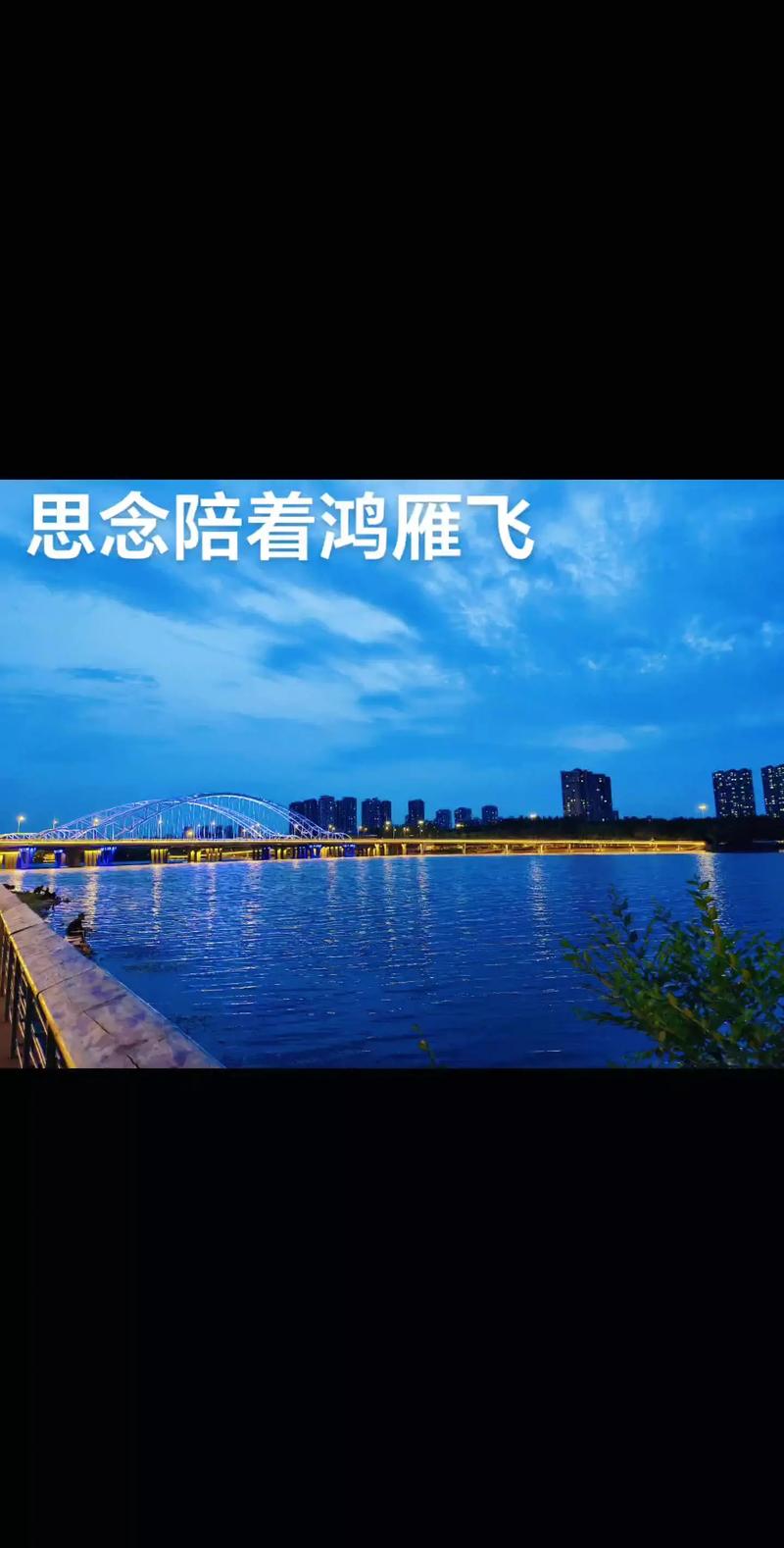 飘飞的思念  第1张