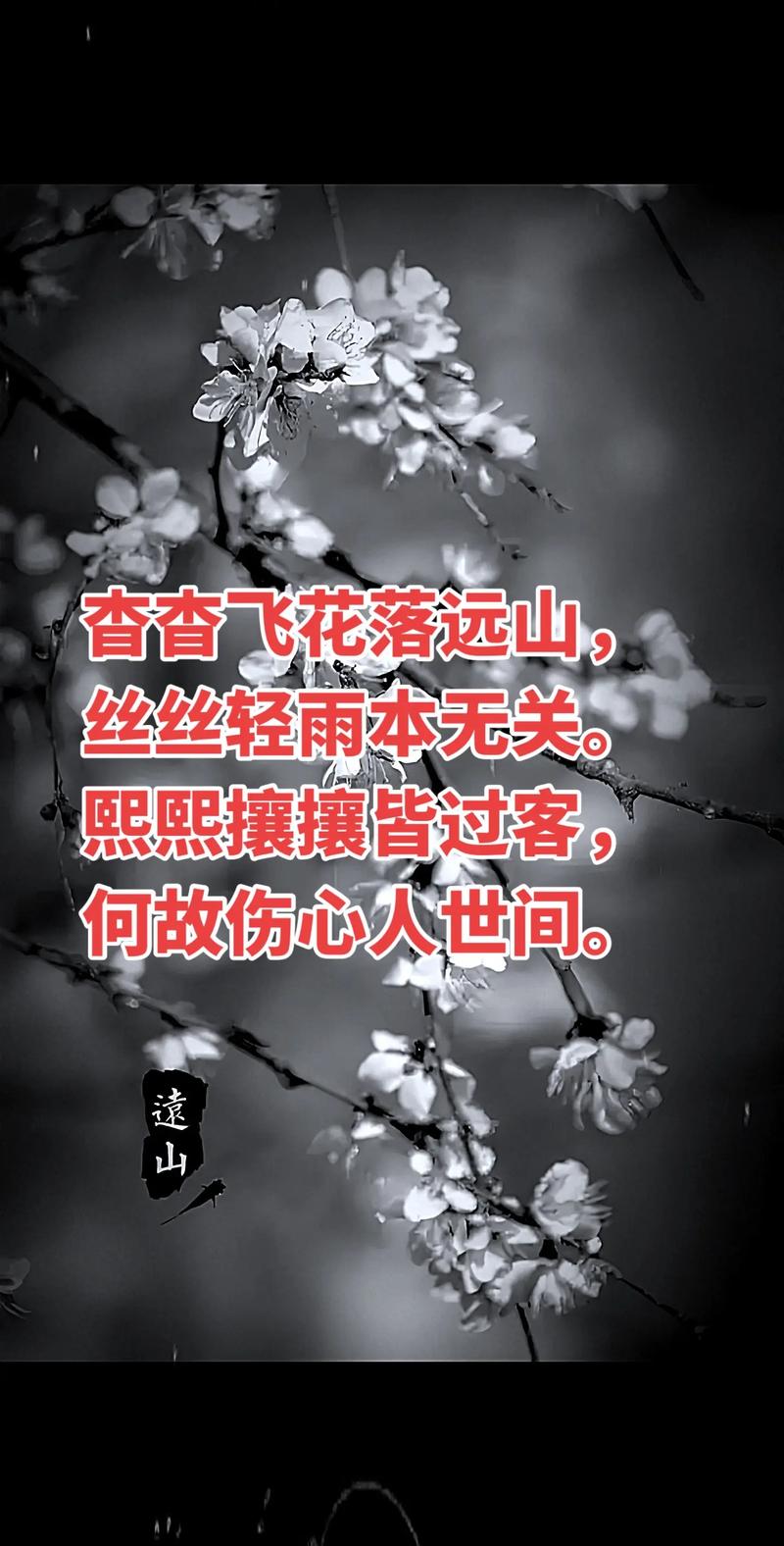 花落随逝水，情坠委芳尘  第1张