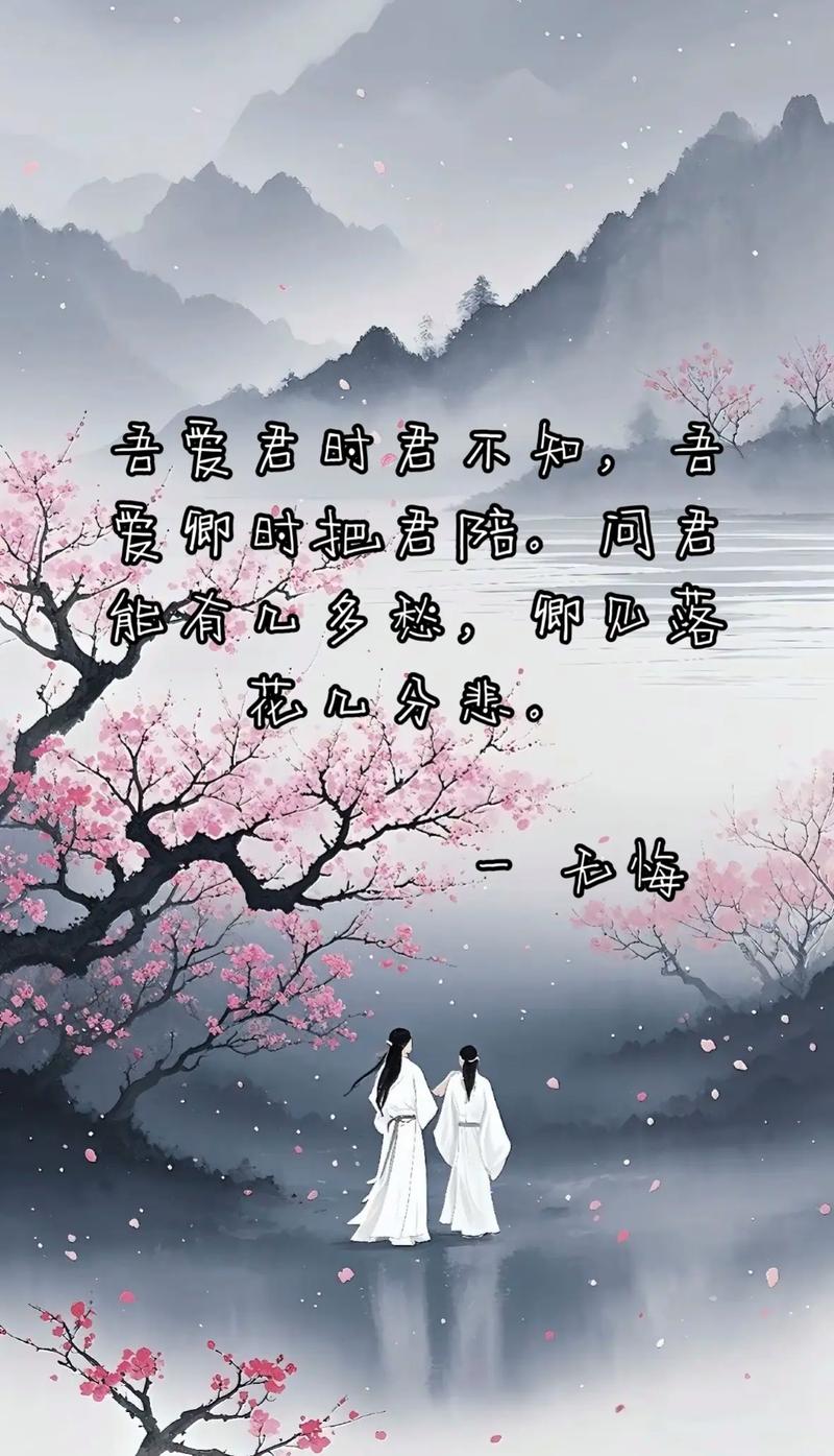 何时再逢君  第1张