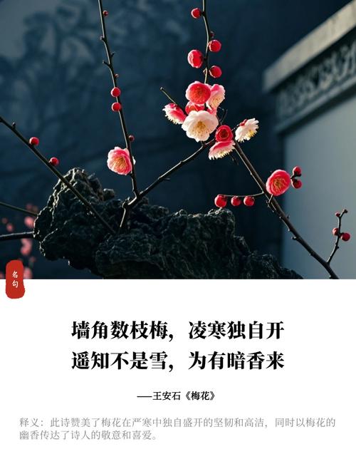 如梦令·梅花嗅  第1张