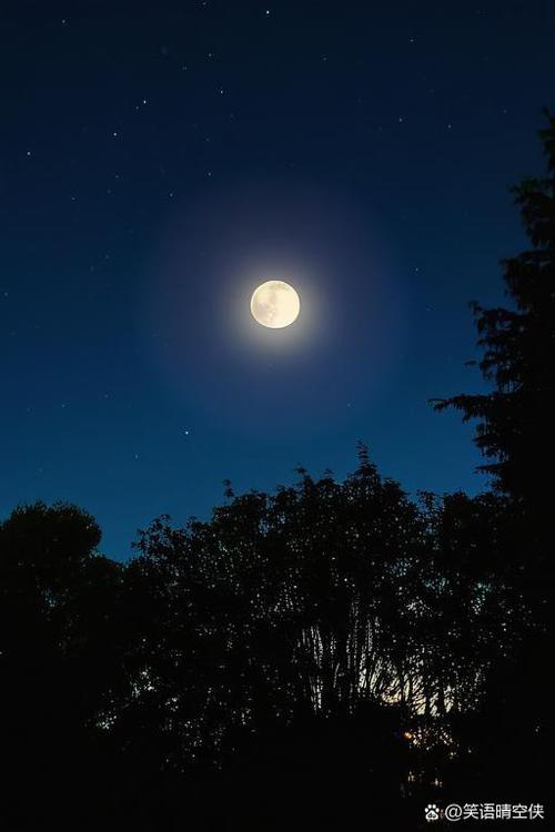 今晚，月色当好  第1张