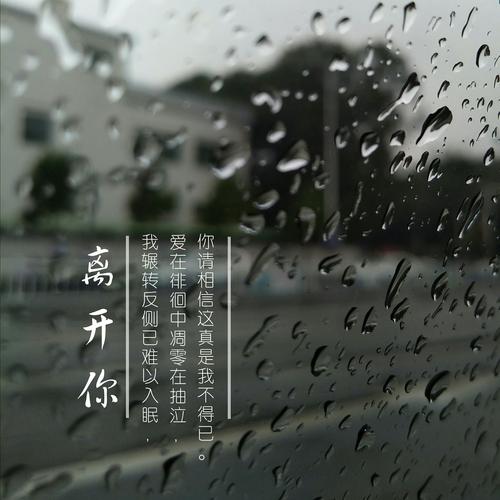 你的离开  第1张