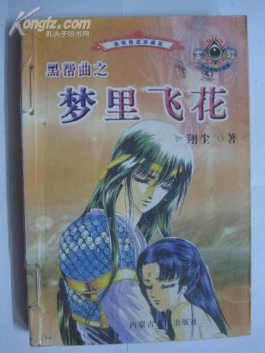 梦里飞花  第1张