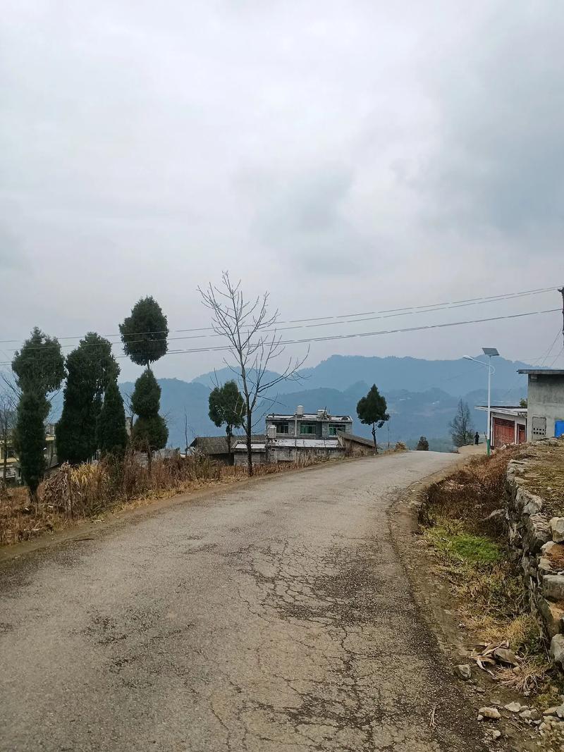 走在家乡的小路上  第1张