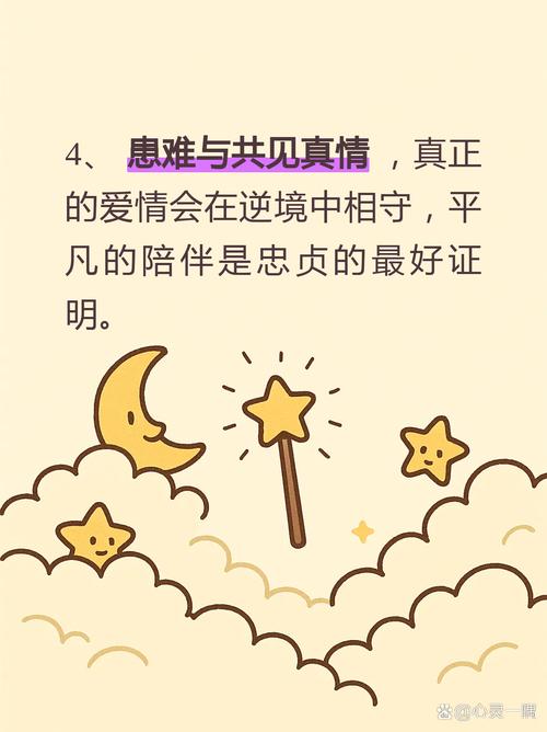 真诚的谎言  第1张