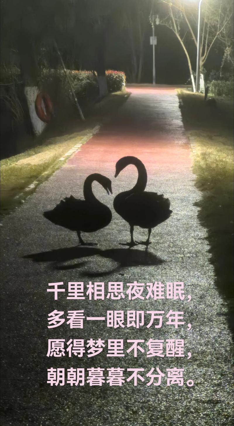 夜难眠  第1张