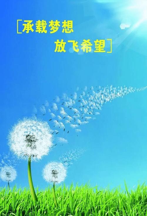 放飞 第1张 放飞 第1张