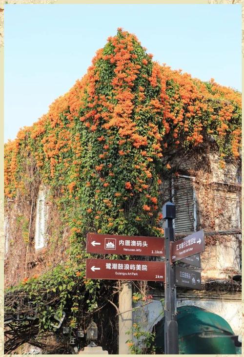 鼓浪屿，你的朵朵浪花激起了片片柔情  第1张