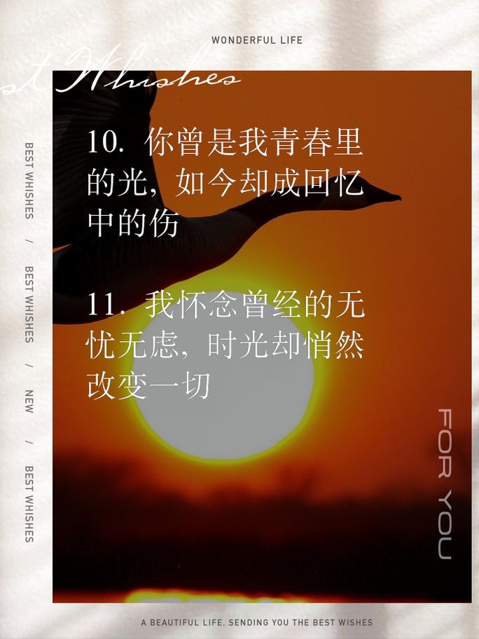 泪水中的回忆  第1张