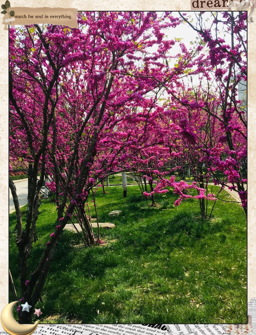 四月 第1张 四月 第1张