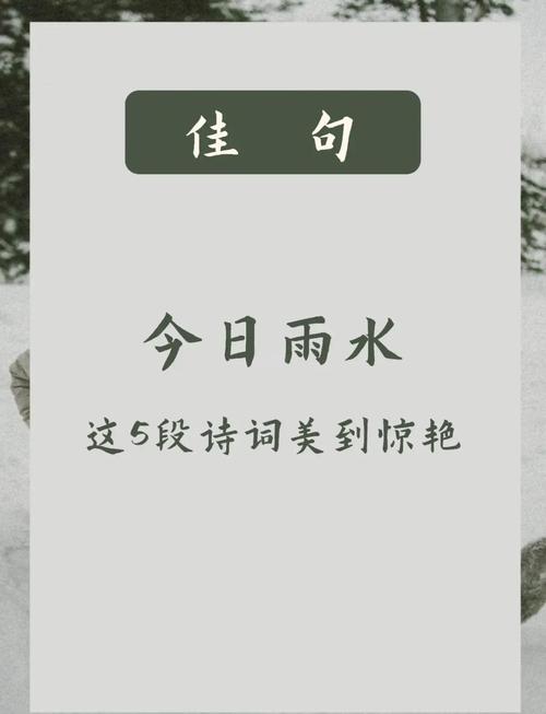 风轻柔,雨纷飞 第1张 风轻柔,雨纷飞 第1张