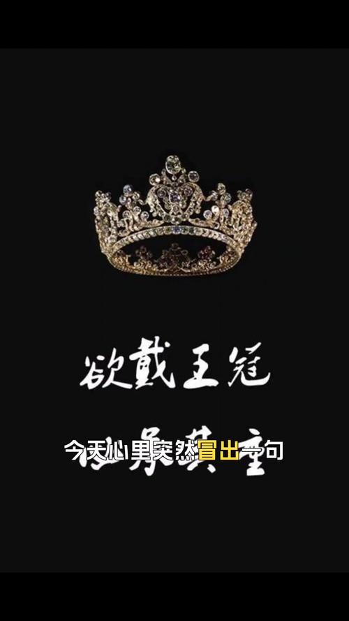 欲戴王冠，必承其重  第1张