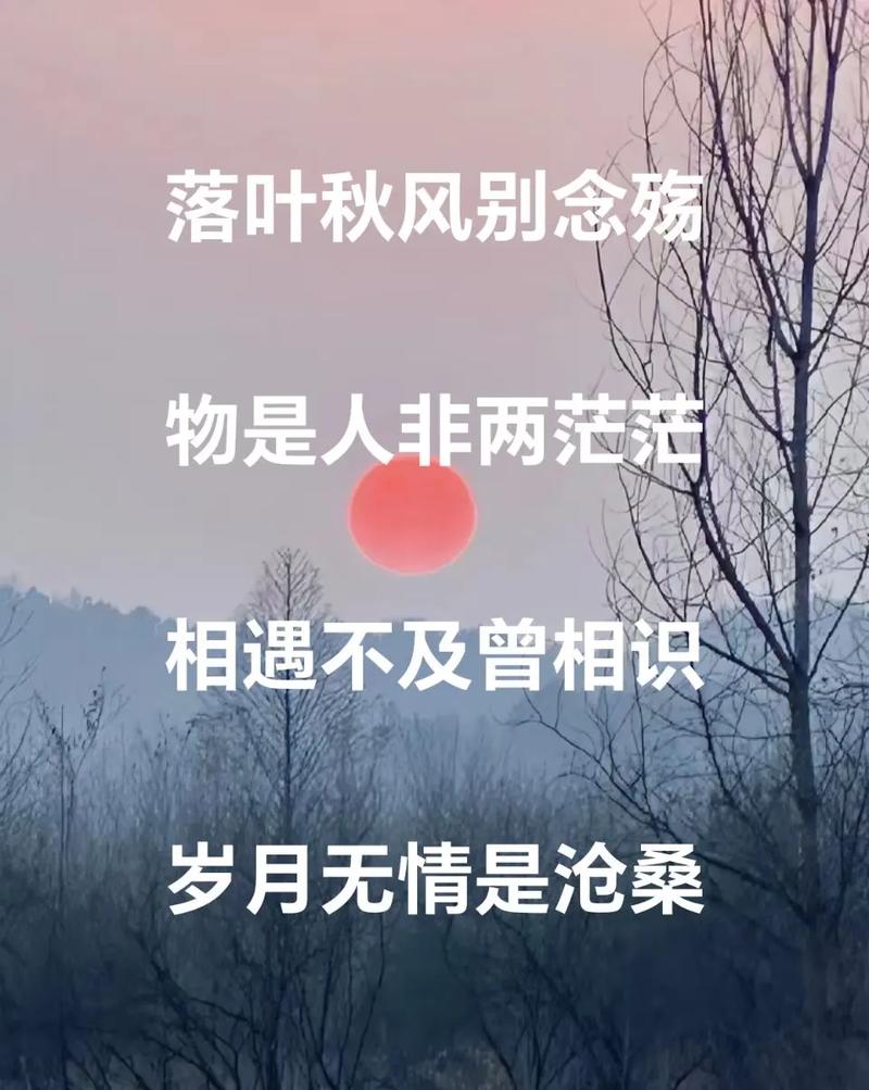 秋风浅吟纸上殇  第1张