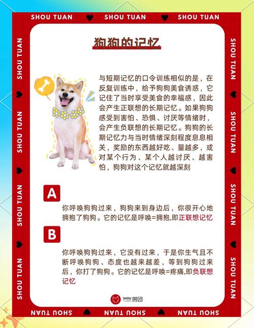 狗的趣忆  第1张