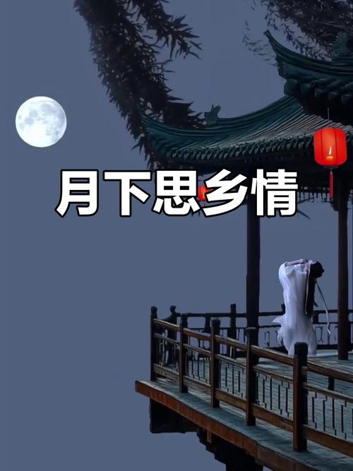 明月千里情悠悠 第1张 明月千里情悠悠 第1张