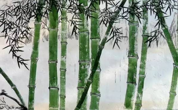 当竹子肩负特殊使命  第1张